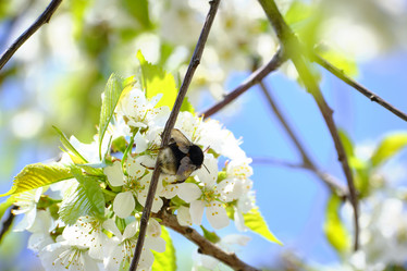 Similar image 21500088