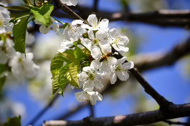 Similar image 21500167