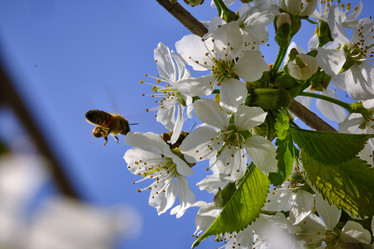 Similar image 21500168