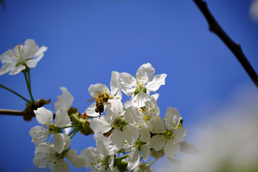 Similar image 21500169