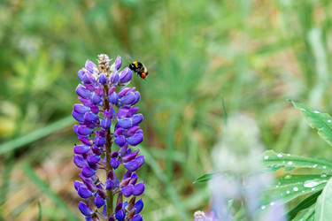 Similar image 21500701