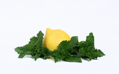 Similar image 21500027