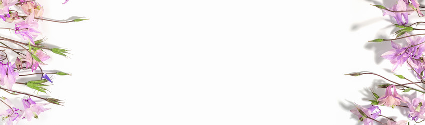 Similar image 21500028