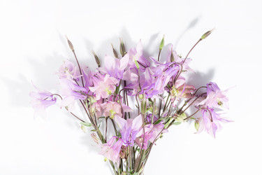 Similar image 21500030