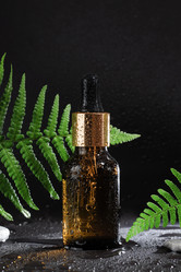 Similar image 21500033