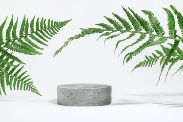 Similar image 21500039