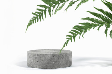 Similar image 21500043