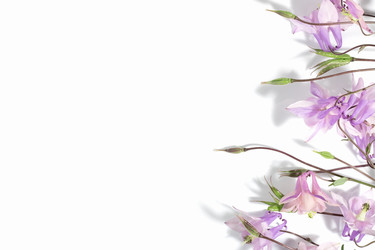 Similar image 21500044