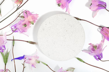 Similar image 21500045