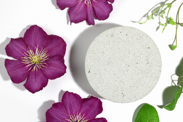 Similar image 21500059