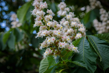 Similar image 21500186