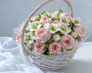 Similar image 21502054