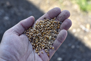 Similar image 21500345