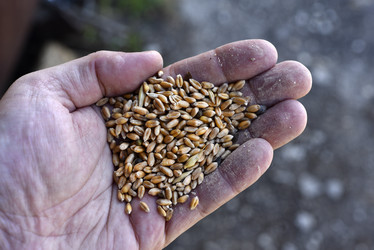 Similar image 21500346