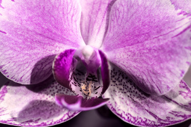 Similar image 21500785