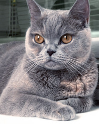 Similar image 21500788