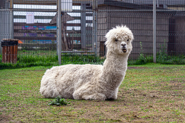 Similar image 21500797