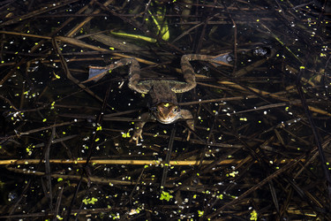 Similar image 21500803