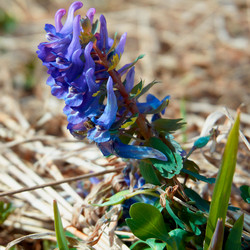 Similar image 21500804