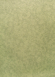 Similar image 21500805