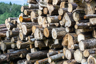 Similar image 21500807