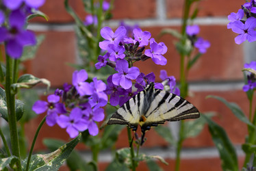 Similar image 21500812