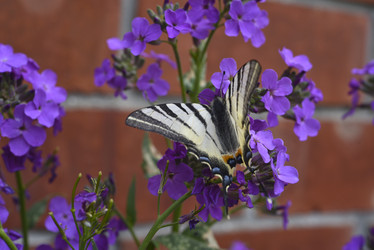 Similar image 21500815