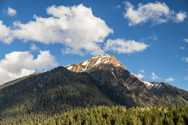 Similar image 21501262