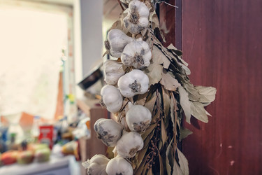 Similar image 21500884