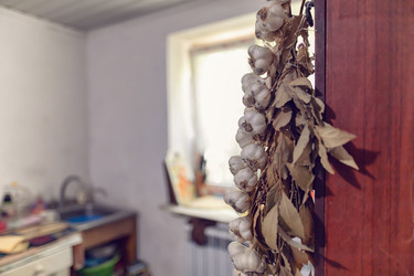 Similar image 21500886