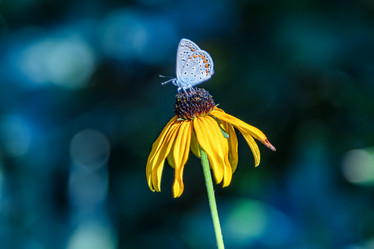 Similar image 21500892