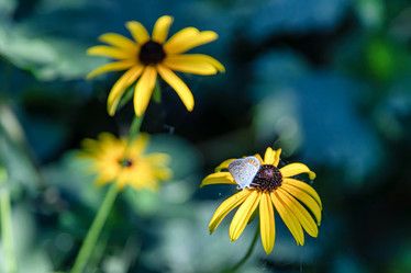 Similar image 21500894