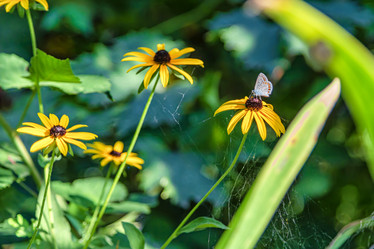 Similar image 21500896