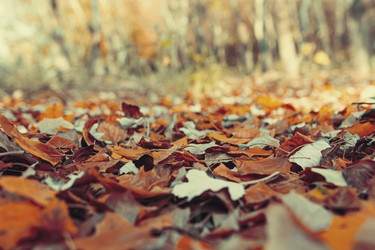 Similar image 21500901