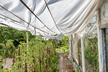 Similar image 21500908