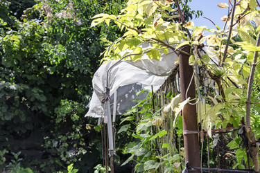 Similar image 21500910