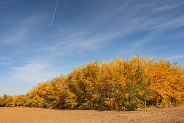 Similar image 21500913