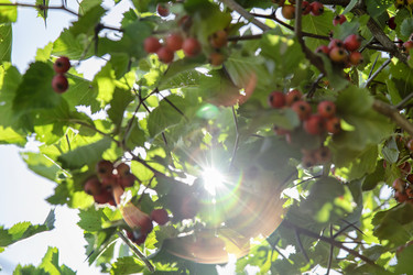 Similar image 21500914