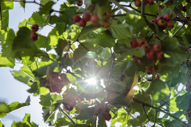 Similar image 21500916