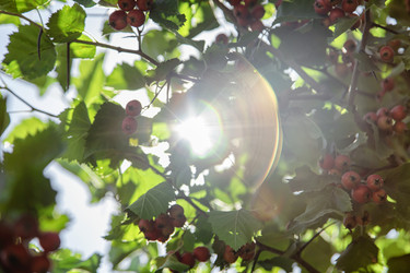 Similar image 21500918