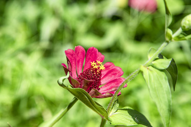 Similar image 21500920