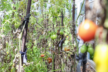 Similar image 21500922