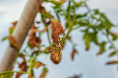 Similar image 21500928