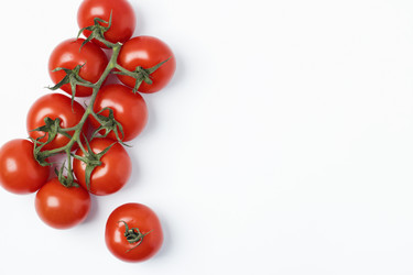 Similar image 21500592