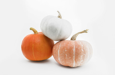 Similar image 21500602