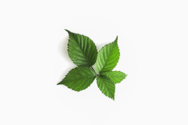 Similar image 21500605