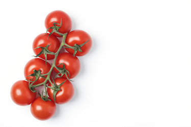 Similar image 21500612