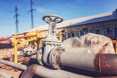 Similar image 21501057