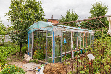 Similar image 21501062