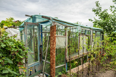 Similar image 21501064